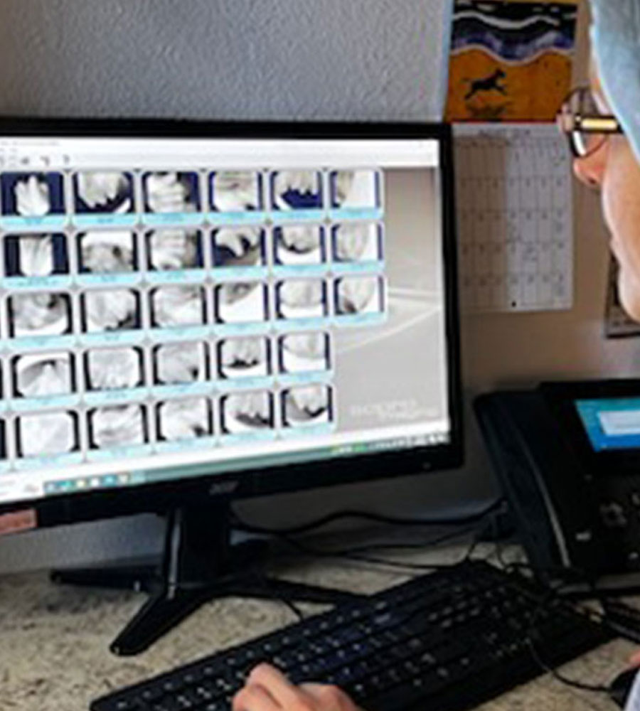 Veterinary diagnostic testing and laboratory services at Arcata Animal Hospital in Arcata, CA
