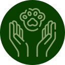 Veterinary physical therapy modalities available for pet rehabilitation at Arcata Animal Hospital
