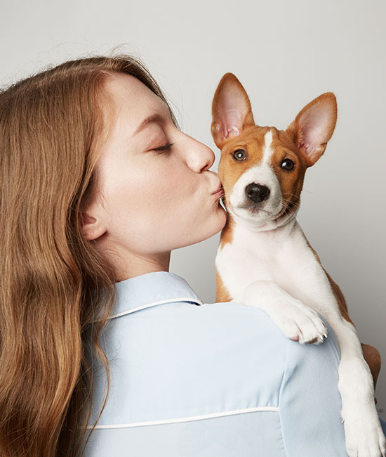 Arcata Animal Hospital staff member providing veterinary care in Arcata, CA