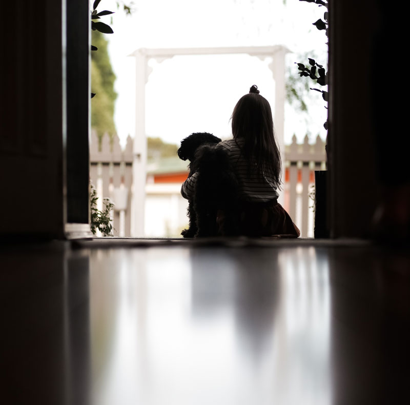 Compassionate end-of-life veterinary care for pets at Arcata Animal Hospital in Arcata, CA
