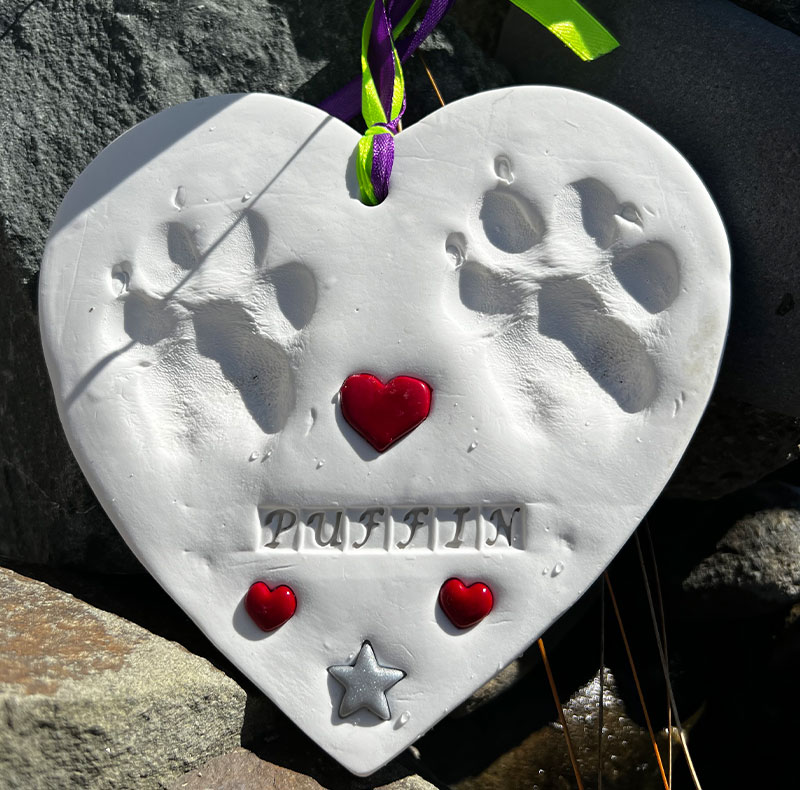 Compassionate end-of-life and palliative care for pets at Arcata Animal Hospital
