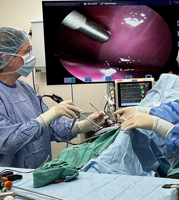 Veterinary laparoscopic procedure at Arcata Animal Hospital in Arcata, CA

