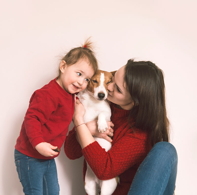 Veterinarian safely performing a spay or neuter procedure on a pet patient
