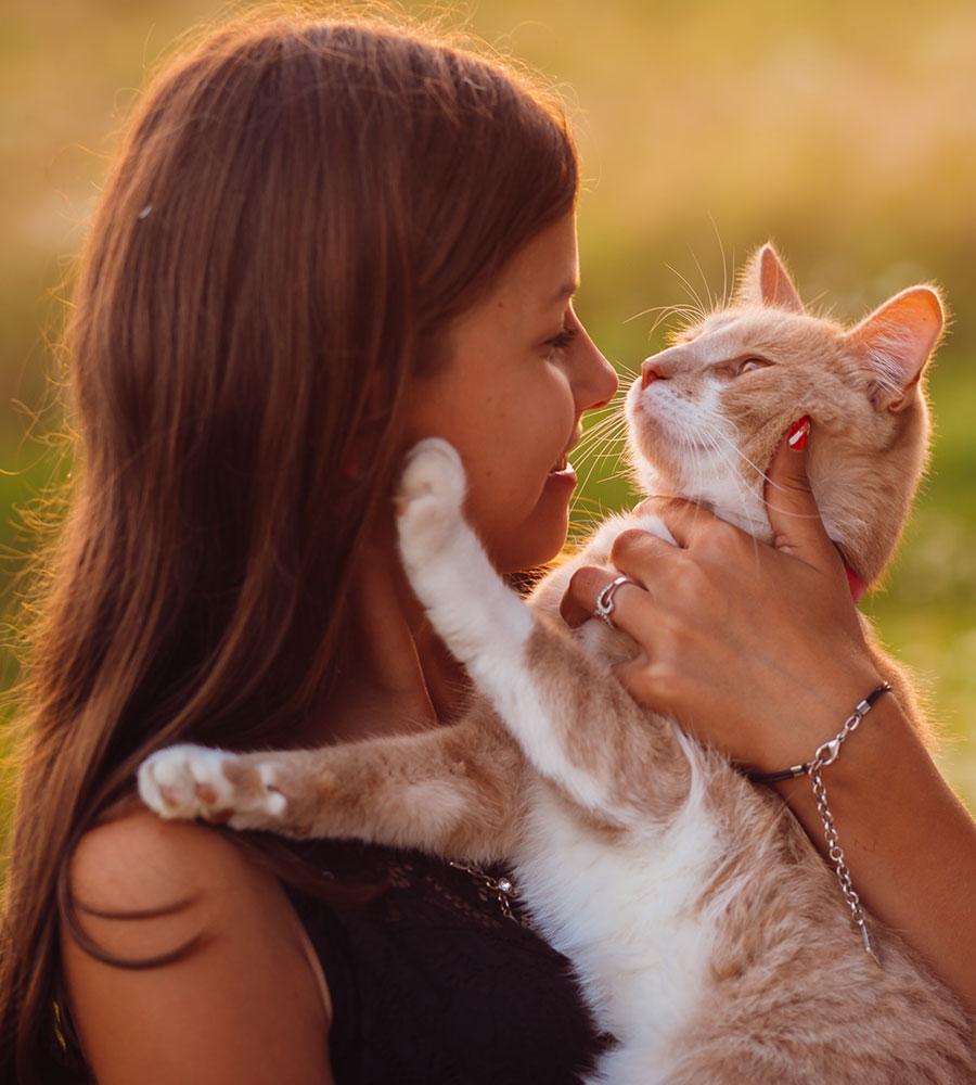Veterinary staff monitoring a patient following spay or neuter surgery
