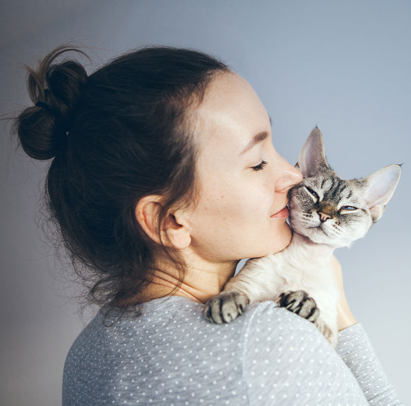 Healthy pet receiving routine wellness exam at Arcata Animal Hospital
